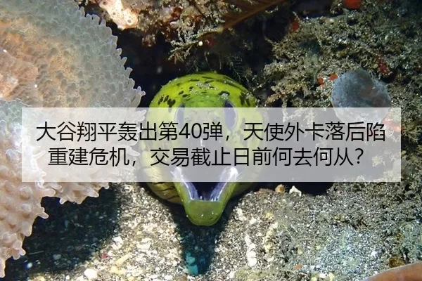 大谷翔平轰出第40弹，天使外卡落后陷重建危机，交易截止日前何去何从？