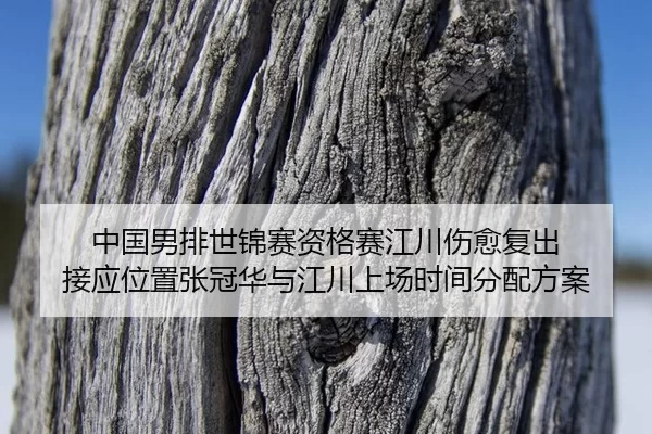 zhong-guo-nan-pai-shi-jin-sai-zi-ge-sai-jiang-chuan-shang-yu-fu-chu-jie-ying-wei-zhi-zhang-guan-hua-yu-jiang-chuan-2-704.jpg